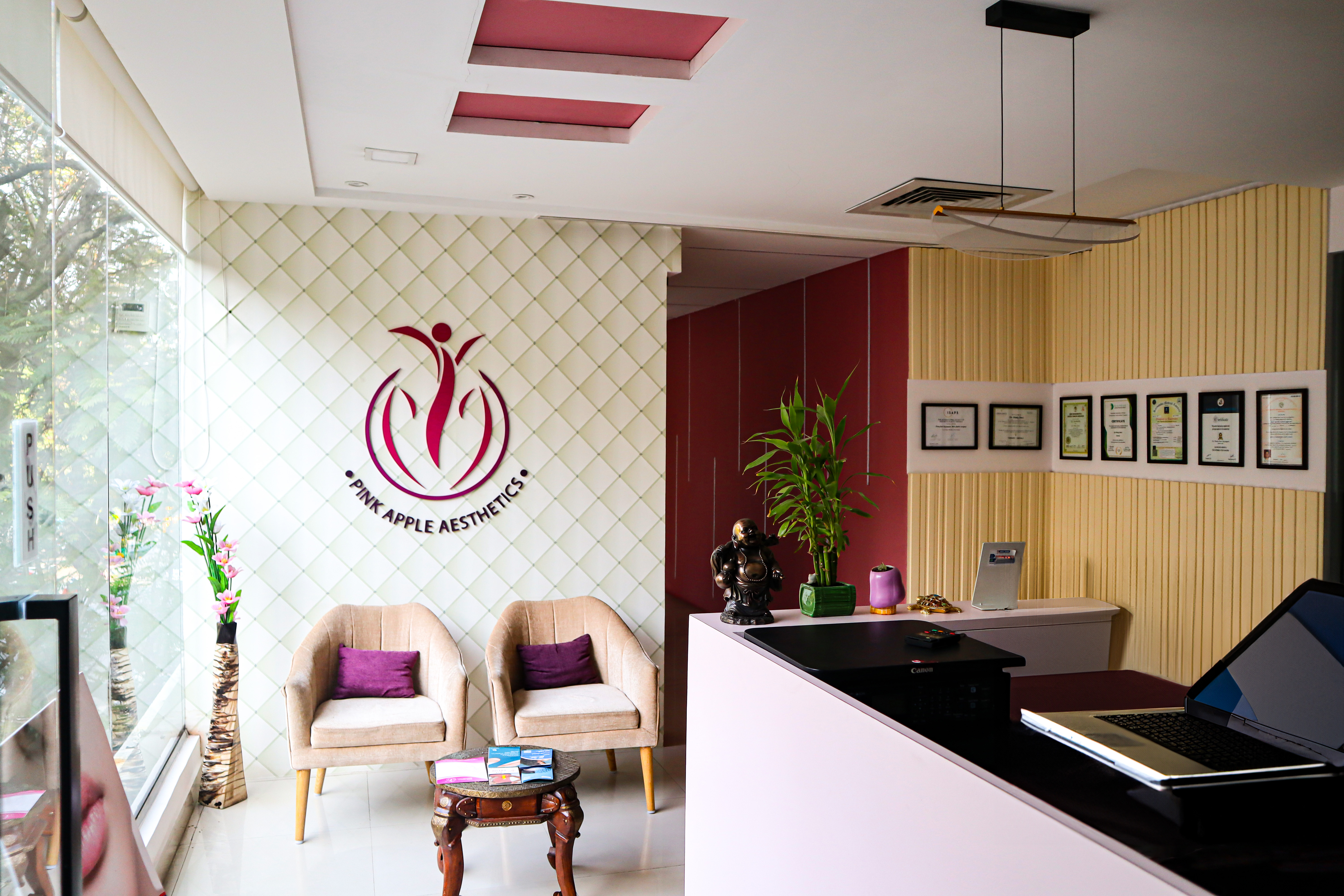 Pinkappleaesthetics Clinic Reception
