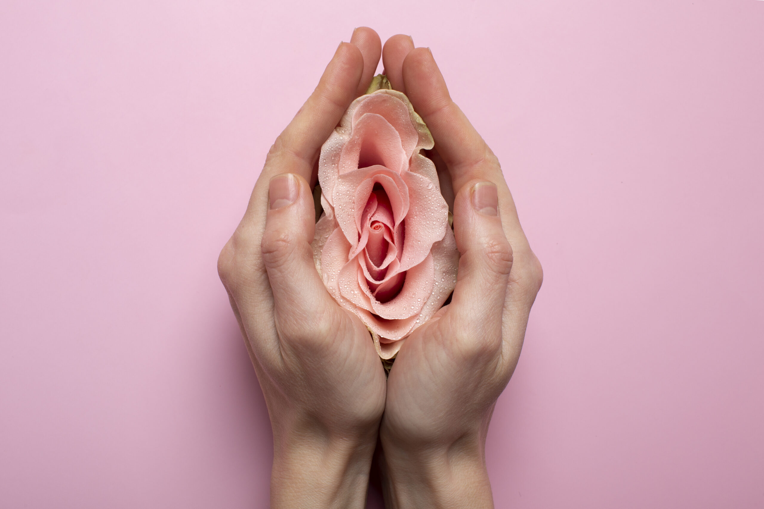 woman holding rose hands reproductive system visualization scaled