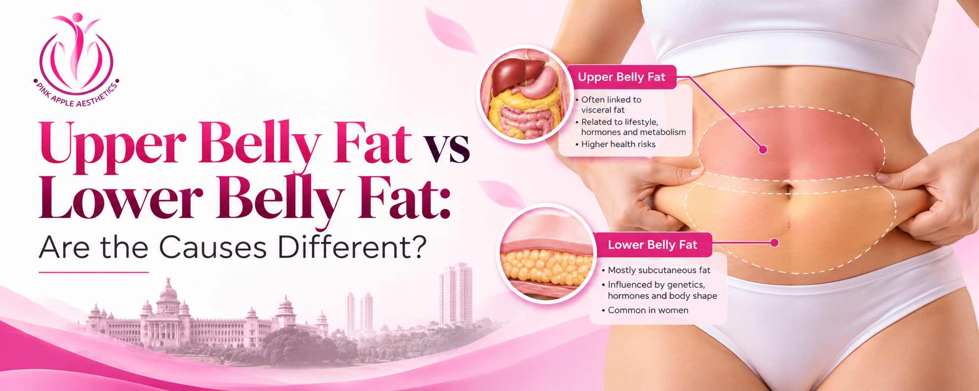 upper lower belly fat blog banner 100kb